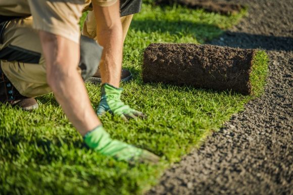 landscaper