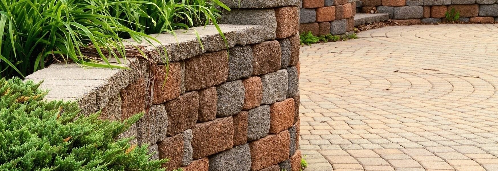 Concrete garden edging in an Ipswich backyard