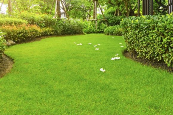 affordable landscaping services providers in ipswich